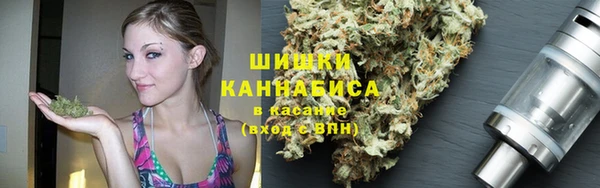 прущие грибы Алексеевка