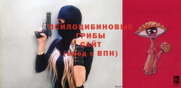 герыч Алексин