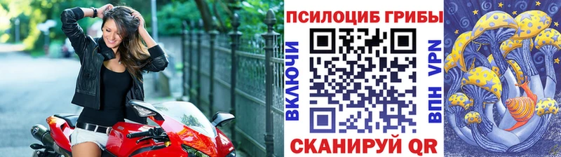 сколько стоит  Гуково  Галлюциногенные грибы GOLDEN TEACHER 