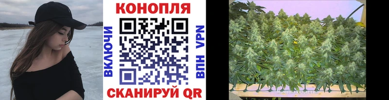 продажа наркотиков mega зеркало Конопля SATIVA & INDICA Гуково